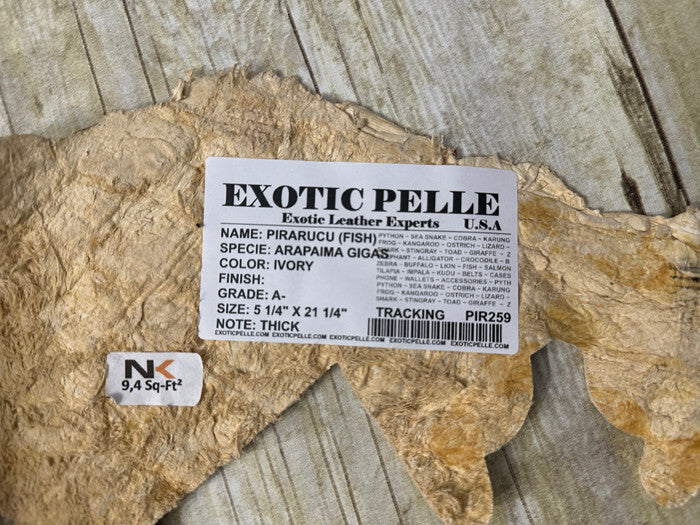 Ivory Pirarucu Hide Genuine Skin Arapaimia Gigas Remnant Scrap Fish Leather 259