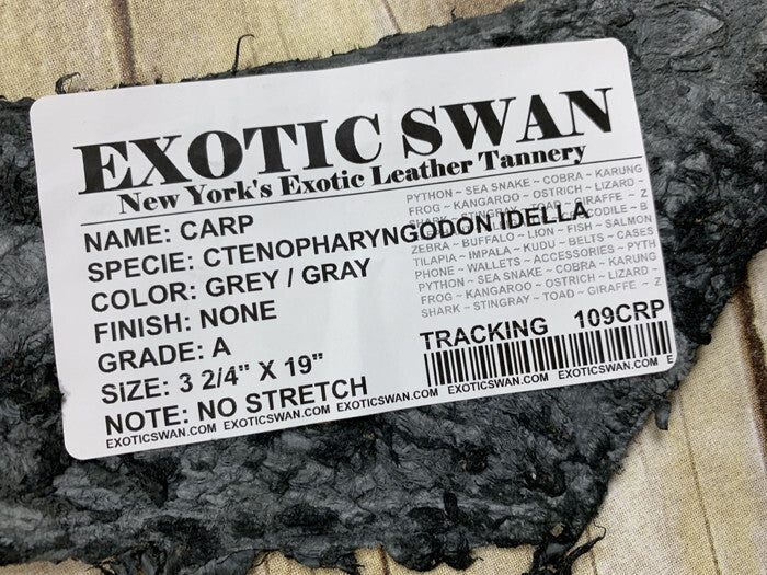 GREY CARP Hide Genuine Skin GLOSSY Fish Leather Tilapia Salmon Exotic GRAY 109