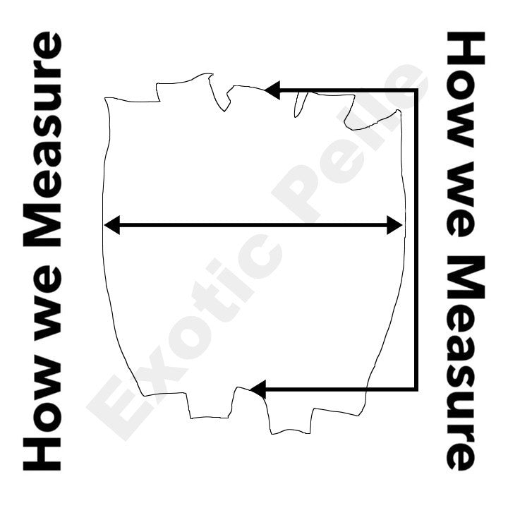 Natural Genuine Ring Lizard Leather Hide Exotic Skin Teju Tegu Iguana real 134