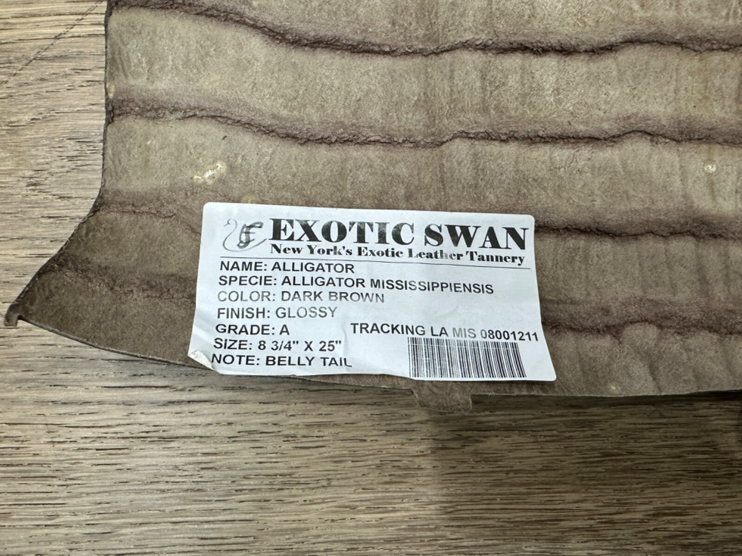 Brown Genuine Alligator Tail Hide Leather Skin Piece Scrap Gator Croc Belly 211