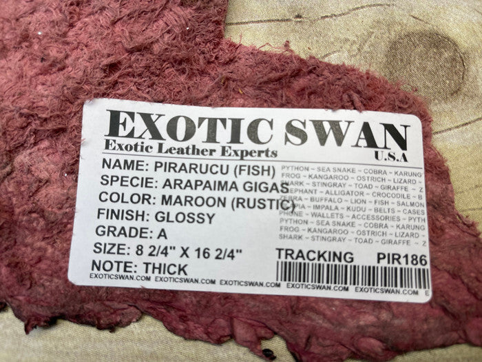 Wine Pirarucu Hide Genuine Skin Arapaimia Gigas Scrap Fish maroon Leather 186