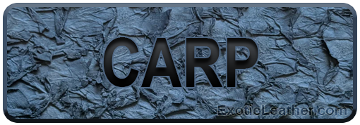 Carp Leather
