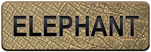 Elephant Leather