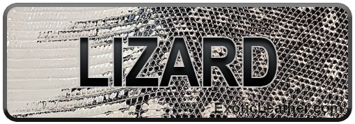 Lizard leather