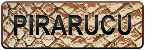 Pirarucu leather