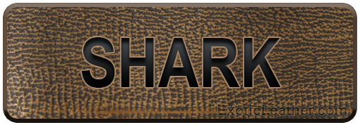 Shark Leather