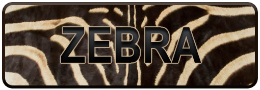 Zebra Leather