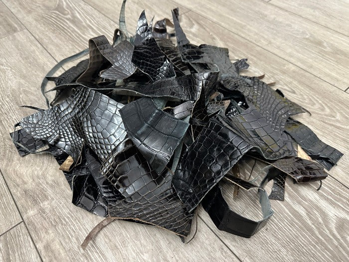 Alligator Scraps Remnants Piece Hide Leather Skin Scrap Gator Croc taxidermy 102
