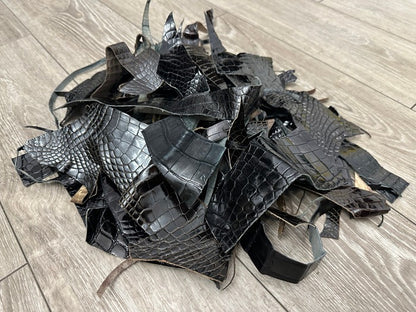 Alligator Scraps Remnants Piece Hide Leather Skin Scrap Gator Croc taxidermy 102
