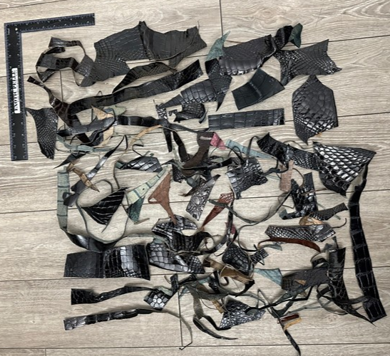 Alligator Scraps Remnants Piece Hide Leather Skin Scrap Gator Croc taxidermy 102