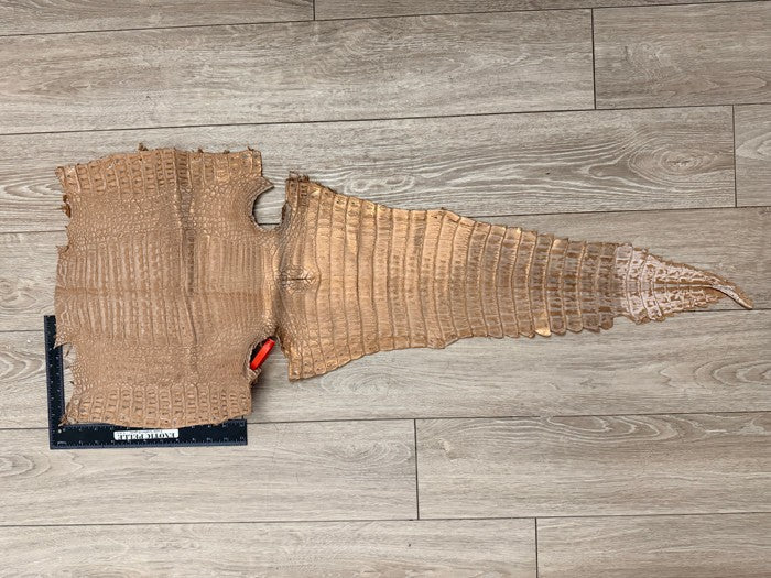 Champagne Metallic Genuine Caiman Crocodile Leather product photo 2