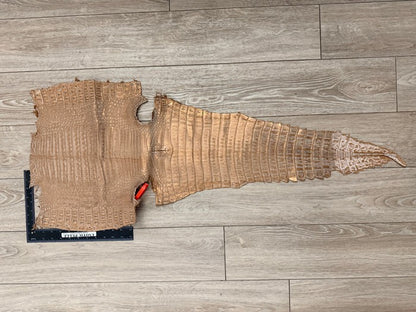 Champagne Metallic Genuine Caiman Crocodile Leather product photo 2