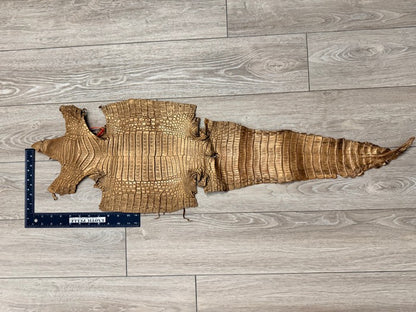 Copper Satin Genuine Caiman Crocodile Leather CMN653 product photo 2