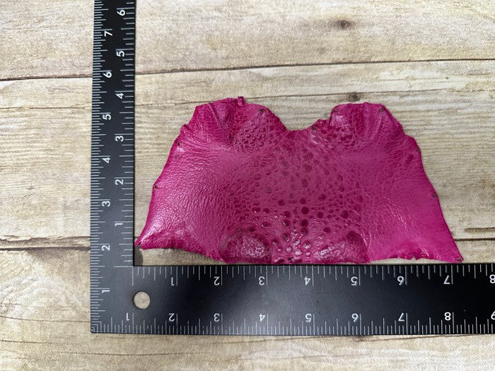 Pink TOAD Hide Genuine Leather GLOSSY cane frog Exotic rana Skin Taxidermy 274