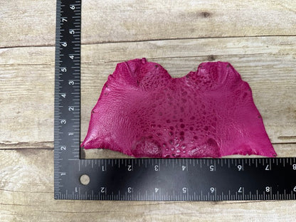 Pink TOAD Hide Genuine Leather GLOSSY cane frog Exotic rana Skin Taxidermy 274