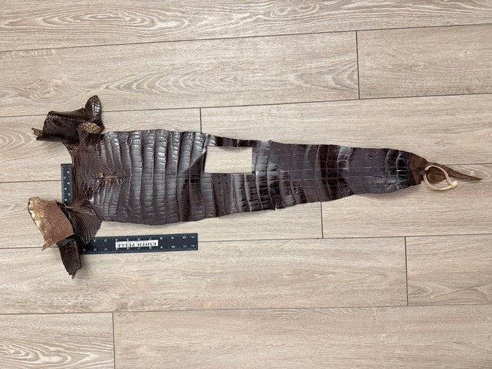 Genuine Alligator Leather - Brown Glossy Distressed Belly Cut WYSIWYG 441 product photo 2