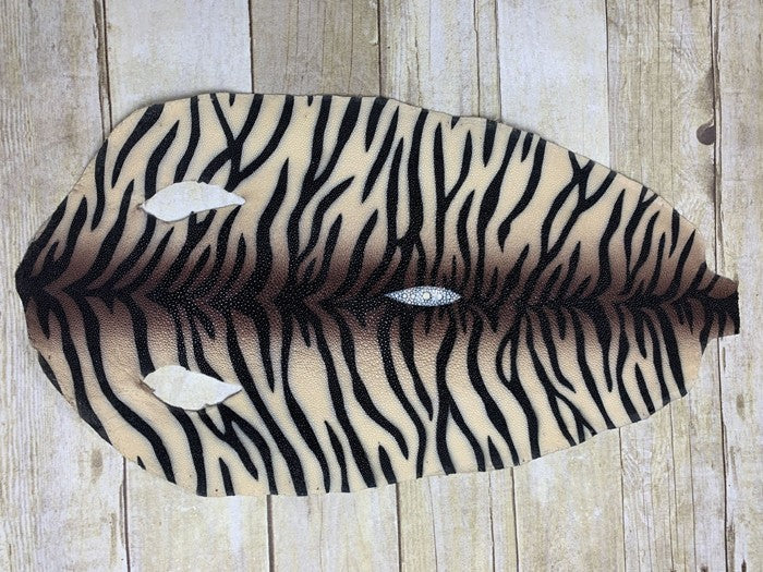 TIGER JUMBO Genuine Stingray Hide Skin Taxidermy Sting Ray Leather Shagreen 796