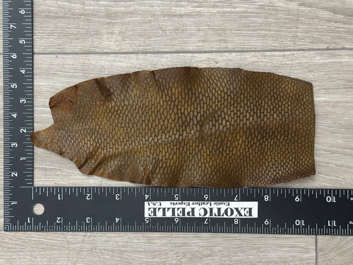 Genuine Beaver Tail Leather - Brown Matte WYSIWYG 129 product photo 3