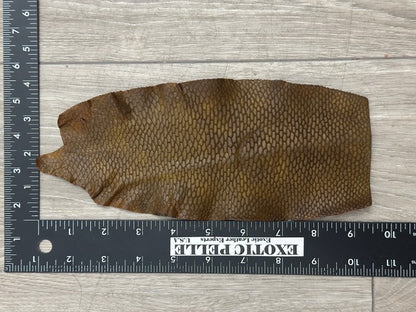 Genuine Beaver Tail Leather - Brown Matte WYSIWYG 129 product photo 3