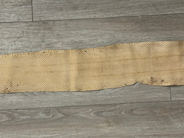 Tan Glossy Genuine Anaconda Leather real hide snake skin python boa rattle 327