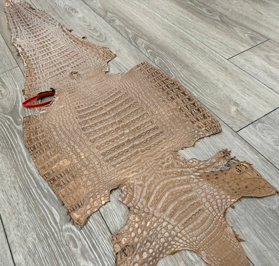 Champagne Metallic Genuine Caiman Crocodile Leather product photo 1