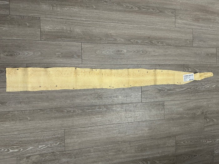 Ivory Natural Tan Anaconda Snake skin Leather real hide python boa rattle 373