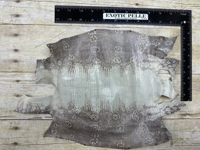 Natural Genuine Ring Lizard Leather Hide Exotic Skin Teju Tegu Iguana real 134