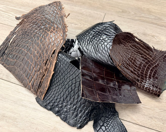 Assorted Genuine Alligator Leather Scraps 156 product photo 1