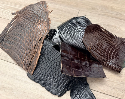 Assorted Genuine Alligator Leather Scraps 156 product photo 1