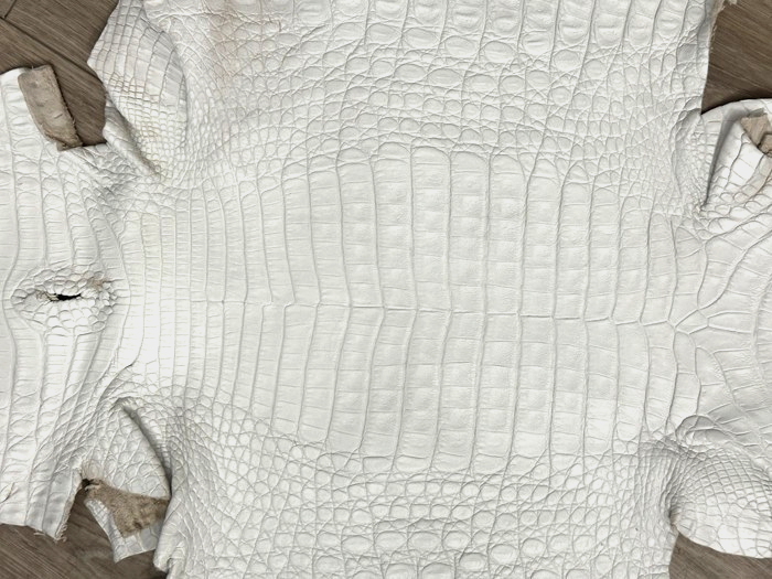 XL White Genuine Caiman Crocodile belly Hide Leather real alligator Croc 784