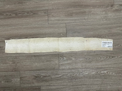 Natural Genuine Anaconda Snake skin Leather hide python real boa rattle 322