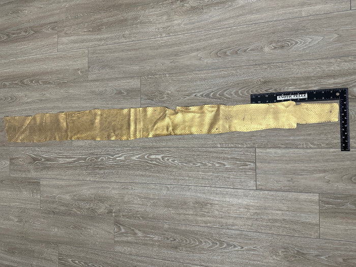 Gold Genuine Anaconda Leather Snake skin hide snake skin python Boa rattle 293