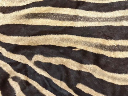 Natural Genuine Zebra Leather mini Rug ZBR18 product photo 17