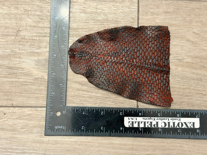 Genuine Beaver Tail Leather - Black On Red Painted Matte WYSIWYG 160 product photo 2