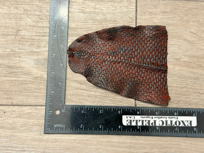 Genuine Beaver Tail Leather - Black On Red Painted Matte WYSIWYG 160 product photo 2