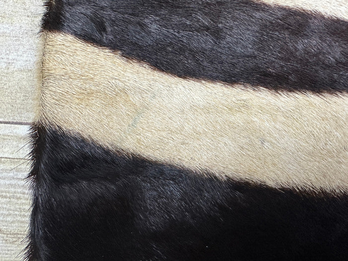 New Genuine Zebra Pillow Real African Burchell Cushion Leather Hide Taxidermy 08
