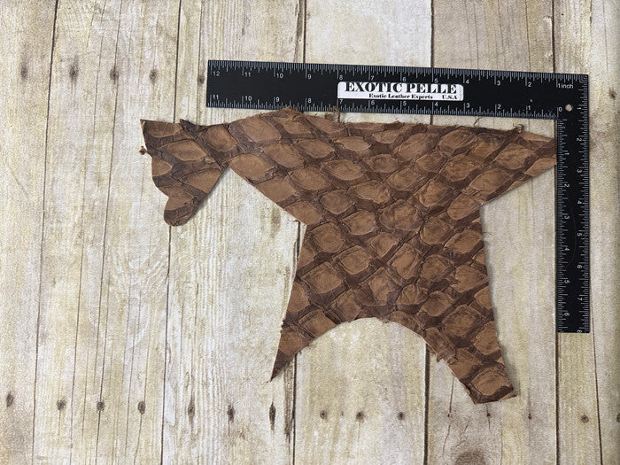 Brown Pirarucu Hide Genuine Skin Arapaimia Gigas Remnant Scrap Fish Leather 258