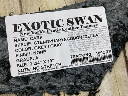 GREY CARP Hide Genuine Skin GLOSSY Fish Leather Tilapia Salmon Exotic GRAY 109