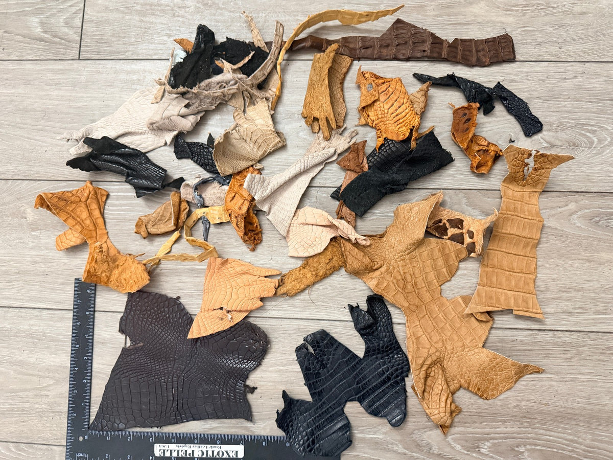 Assorted Genuine Crocodile Leather Scraps 322 product photo 3