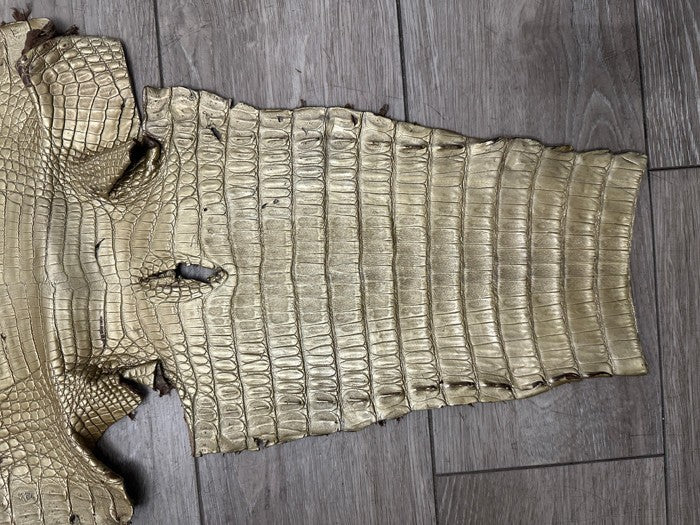 Gold Satin Genuine Caiman Crocodile Leather CMN495 product photo 3