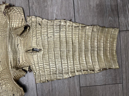 Gold Satin Genuine Caiman Crocodile Leather CMN495 product photo 3