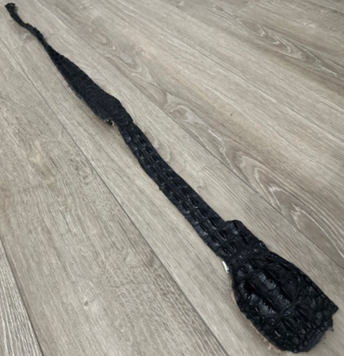 Genuine Alligator Backstrap HornBack Hide Leather Crocodile Skin Gator Croc 402