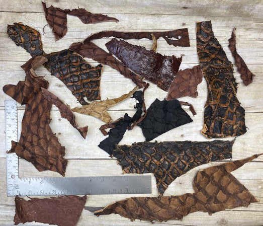 Genuine Pirarucu Leather scraps remnants product photo 4
