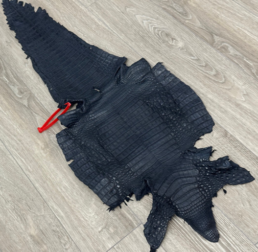 Blue Navy Genuine Caiman Crocodile belly Hide Leather Skin Gator Croc 550