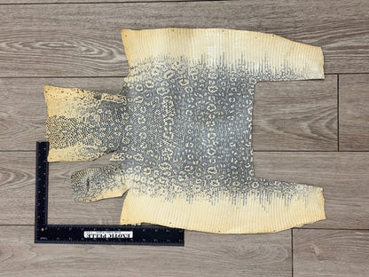 Genuine Water Monitor Java Ring Lizard Leather - Honey Natural Semi Gloss WYSIWYG 320 product photo 2