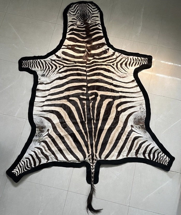 NEW JUMBO 10+ Foot Genuine African Burchells Zebra Rug Safari hair on Hide Skin