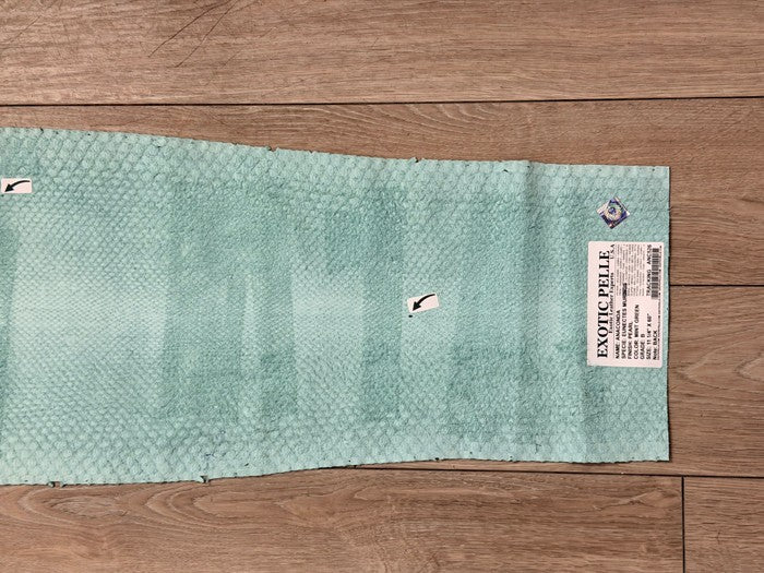 Aquamarine Green Pearl Genuine Anaconda Snake Leather 526 product photo 4