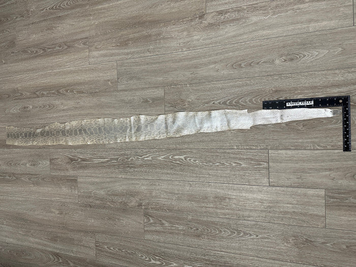 Silver on Natural Genuine Anaconda Leather hide snake skin python Boa rattle 295