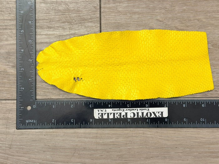 Yellow Painted Satin Genuine Beaver Tail Leather 152 product photo 2