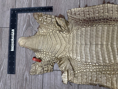 Gold Satin Genuine Caiman Crocodile Leather CMN495 product photo 5